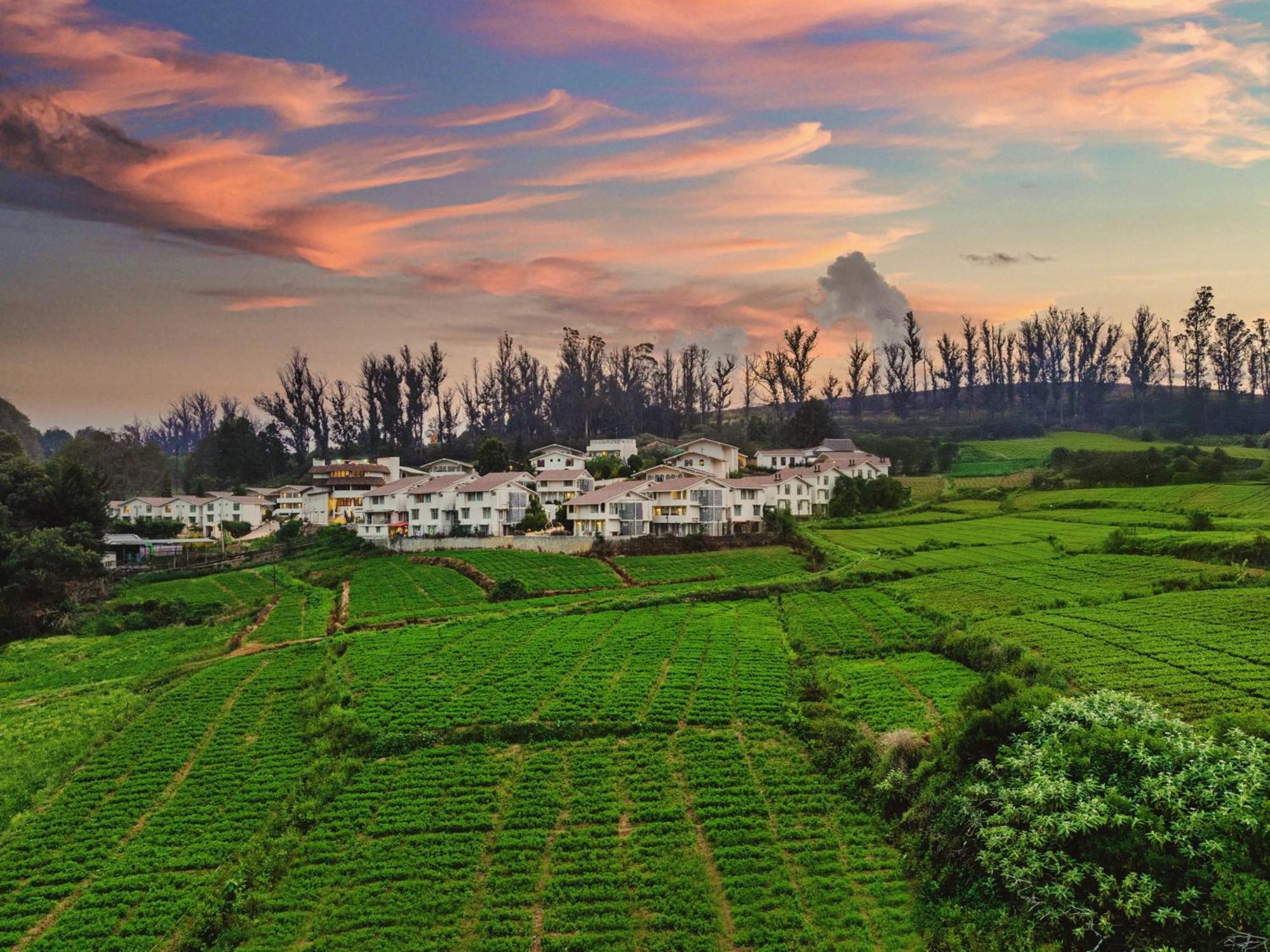Mango Hill Shola Ooty Hotel Buitenkant foto
